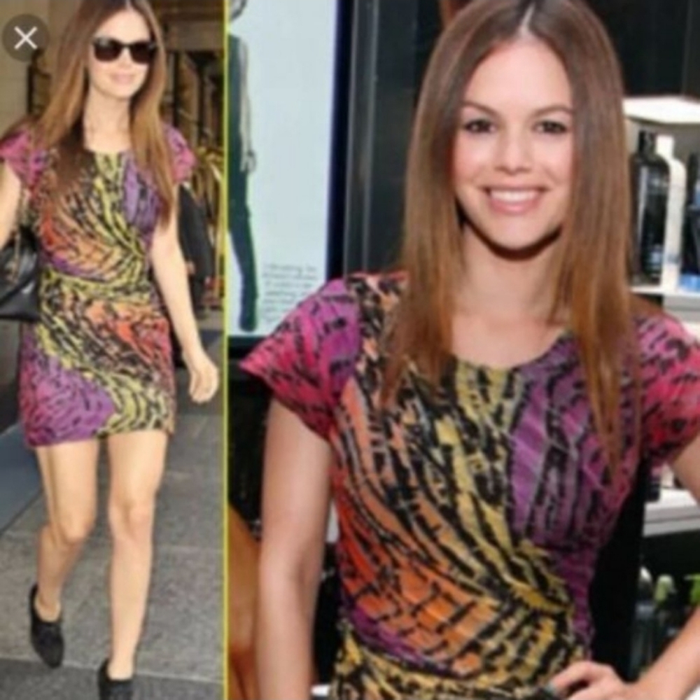 Dvf Erosa Multi Color Rainbow Zebra Zip dress Sz 2 - Picture 2 of 8